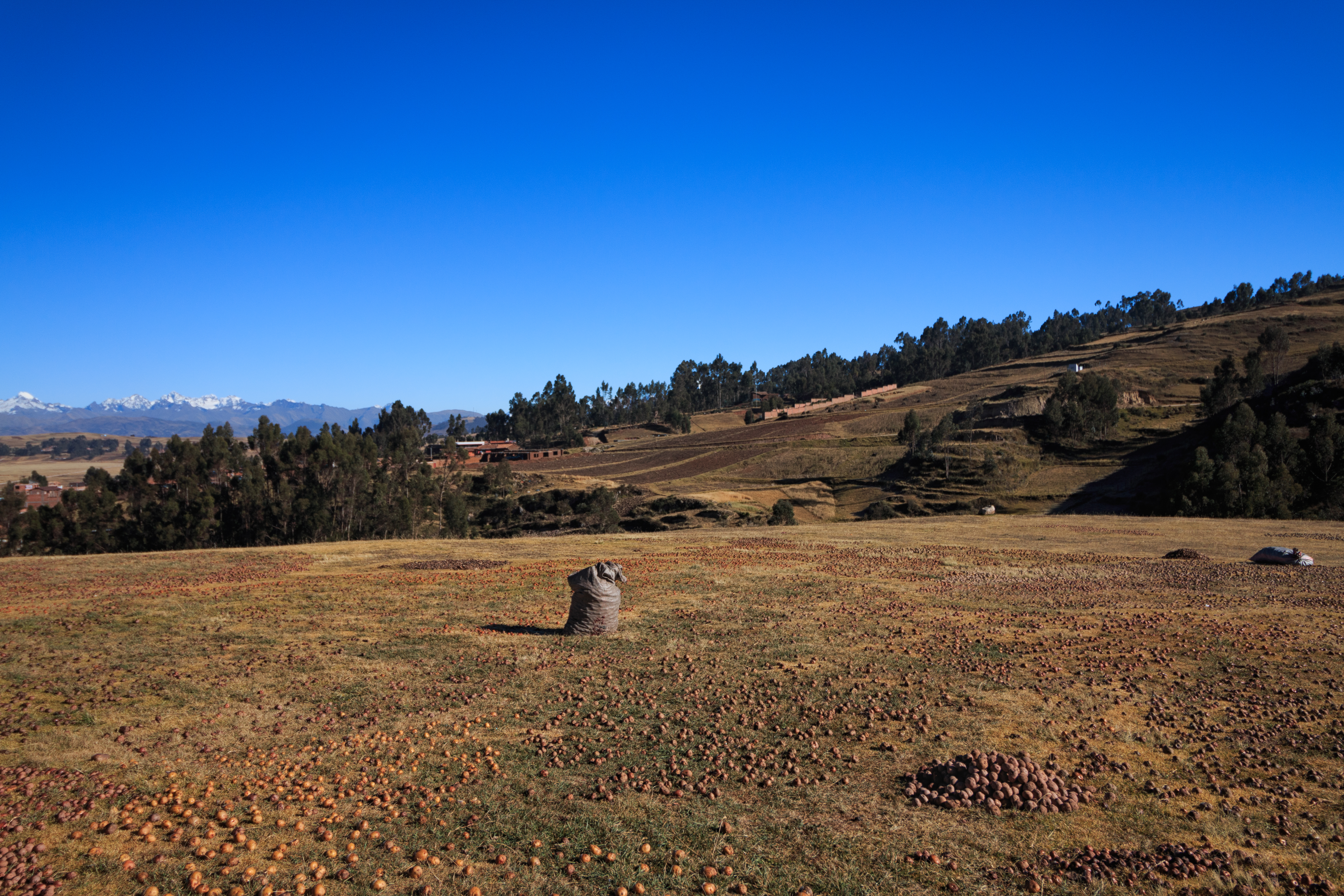 The ruins of Inca Palace, agricultural terraces, and a Colonial Church.