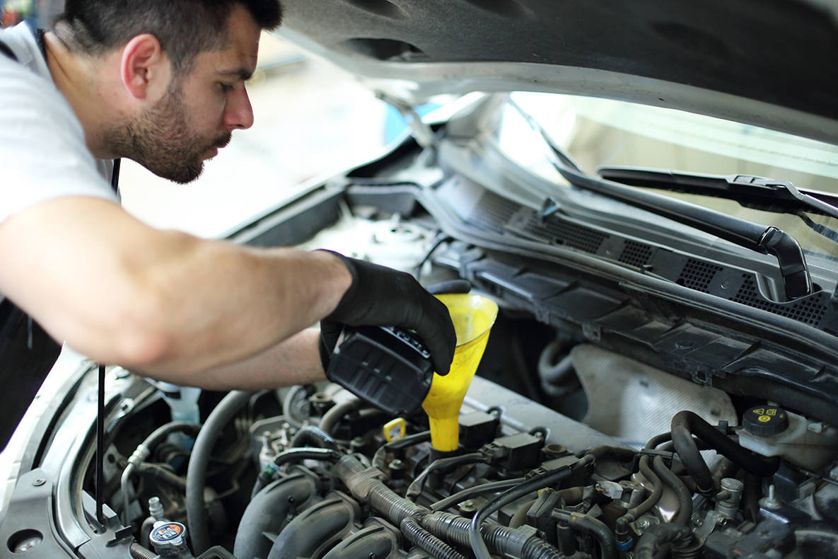 Professional mechanic pours oil into the engine