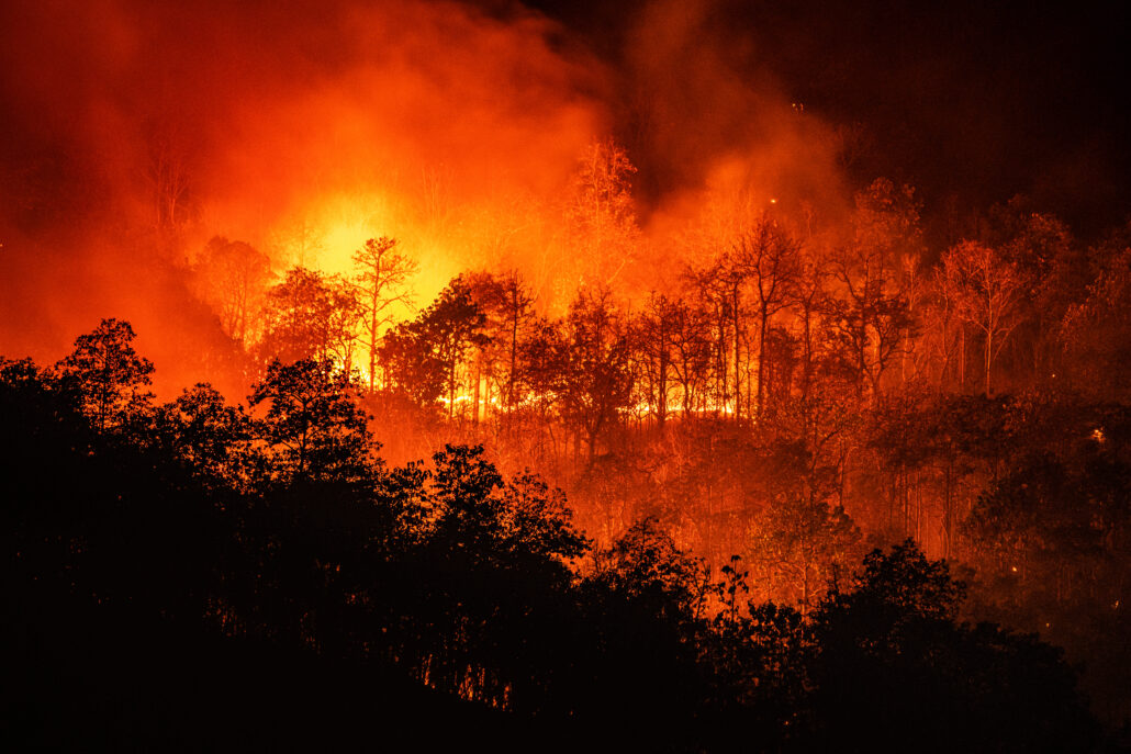Forest fire wildfire at night time on the mountain with big smoke in Chiang Mai, Thailand